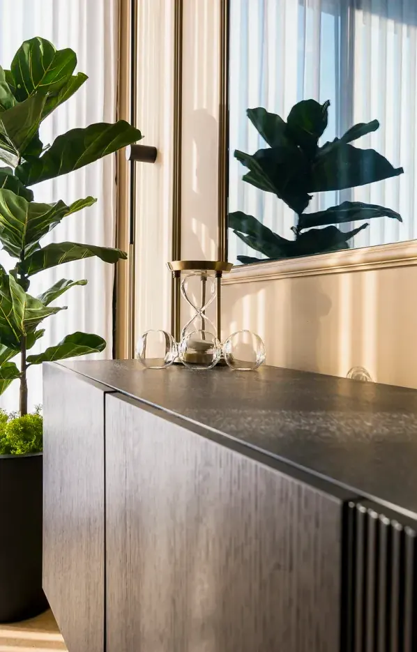 Mueble bajo de madera oscura con puertas acanaladas, una planta grande y cortinas ligeras con luz cálida en un departamento